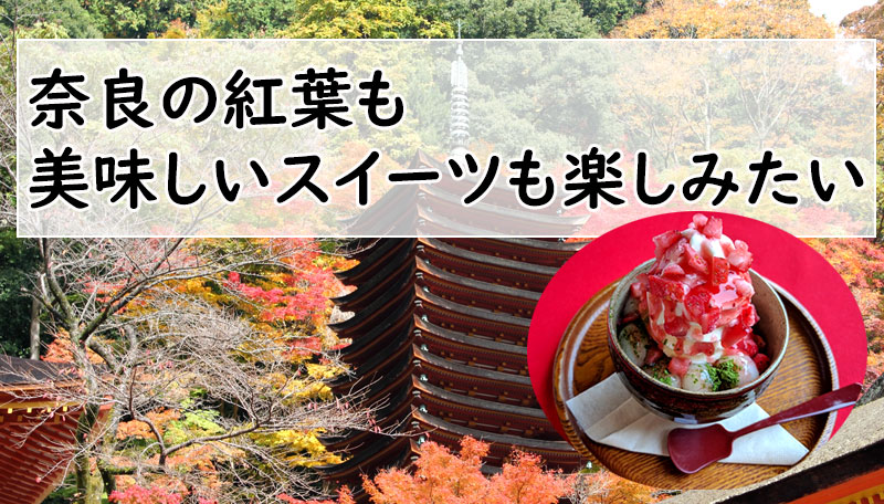 奈良の紅葉も美味しいスイーツも楽しみたい