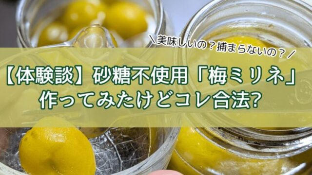 【体験談】砂糖不使用「梅ミリネ」作ってみたけどコレ合法?