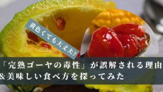 黄色くても大丈夫?「完熟ゴーヤの毒性」が誤解される理由&美味しい食べ方を探ってみた