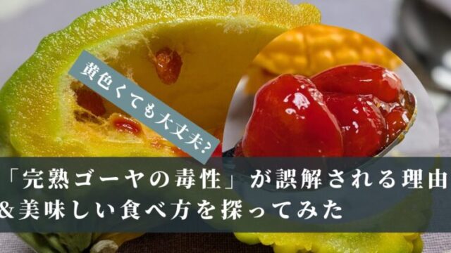 黄色くても大丈夫?「完熟ゴーヤの毒性」が誤解される理由&美味しい食べ方を探ってみた