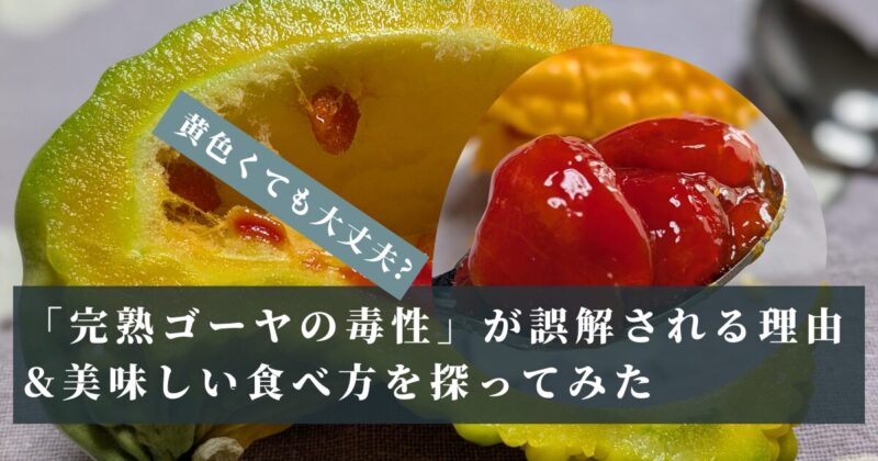 黄色くても大丈夫?「完熟ゴーヤの毒性」が誤解される理由&美味しい食べ方を探ってみた