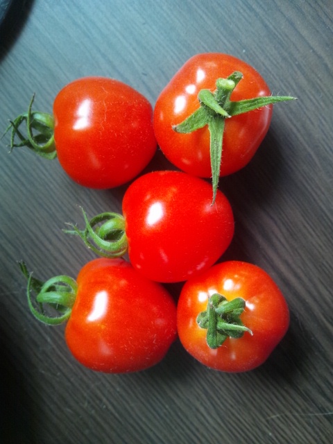 自宅で採れたトマトベリー
