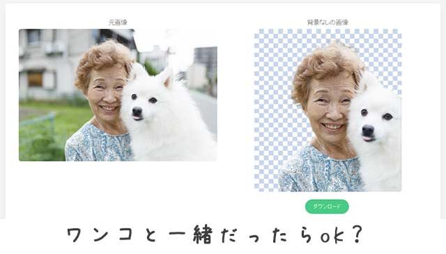 犬とおばあちゃんが一緒なら切り抜ける